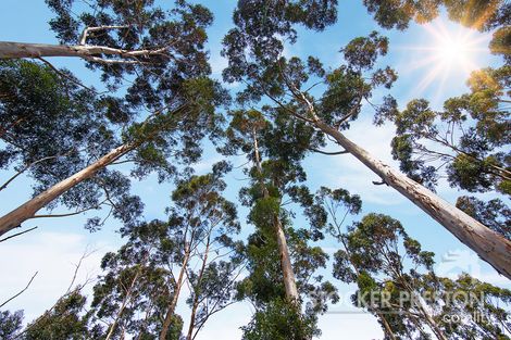 10 Tallwood Loop, Witchcliffe, WA 6286