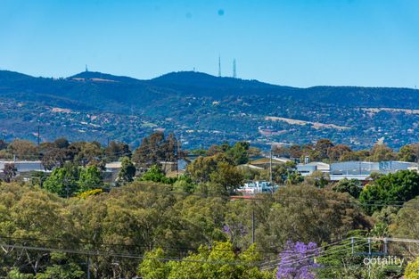 Property photo of 11 St Albans Avenue Valley View SA 5093