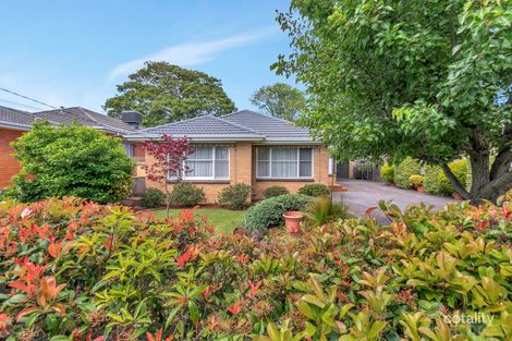16 Ivy St, Parkdale, VIC 3195
