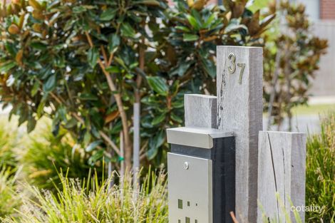 Property photo of 37 Everton Crescent Charlemont VIC 3217