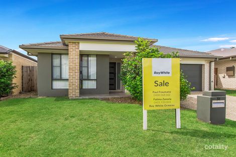Property photo of 31 Cassius Way Ormeau QLD 4208