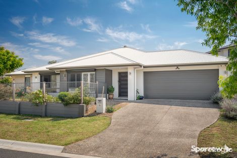 Property photo of 12 Brushtail Court Bahrs Scrub QLD 4207