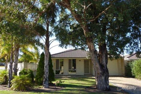 36 Almurta Way, Nollamara, WA 6061