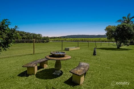 Property photo of 439 Pimlico Road Pimlico NSW 2478