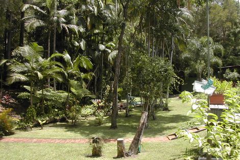 Property photo of 53 Tolson Road Mooloolah Valley QLD 4553