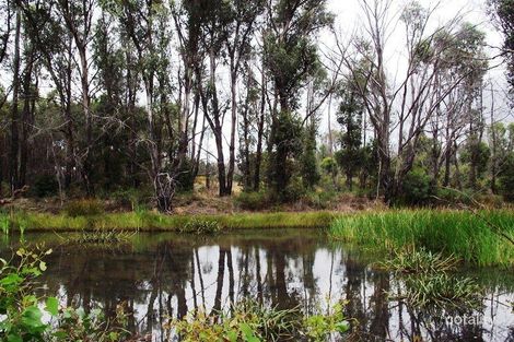 Property photo of 94 Blue Hills Road Copping TAS 7174