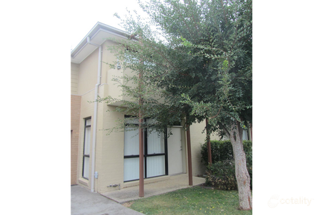 Property photo of 17 Brushbox Court Clayton VIC 3168