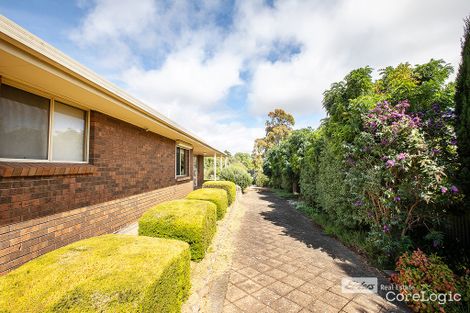 Property photo of 24 Cedar Avenue Naracoorte SA 5271