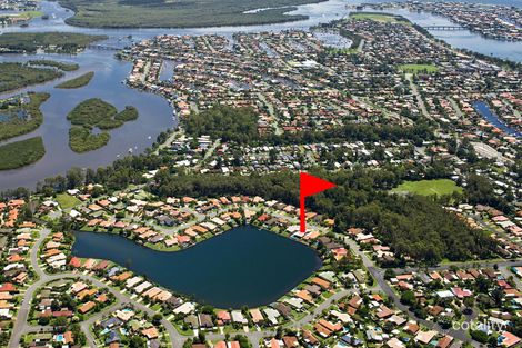Property photo of 50 Burrendong Road Coombabah QLD 4216