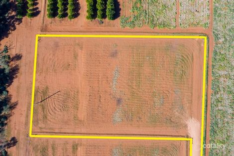 Property photo of 28 Sylvia Street Yelta VIC 3505