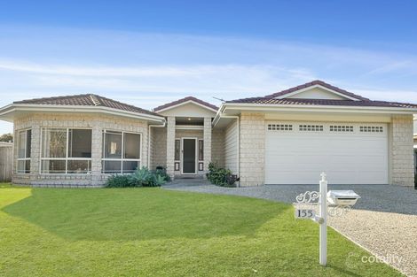 Property photo of 155 Cotterill Avenue Bongaree QLD 4507