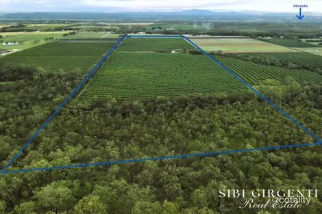 Property photo of 71 Gilmore Road Mareeba QLD 4880