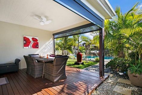 Property photo of 49 Northcote Crescent Caloundra West QLD 4551