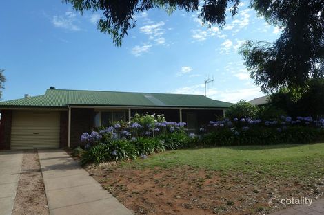 55 Hughes Ave, Paringa, SA 5340