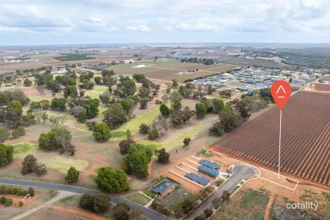 10 Carrazza Ct, Robinvale, VIC 3549