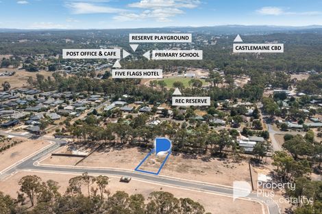 Property photo of 11 Protea Boulevard Campbells Creek VIC 3451