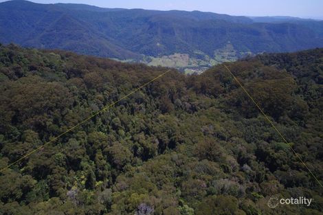 Property photo of 132 Repeater Station Road Springbrook QLD 4213