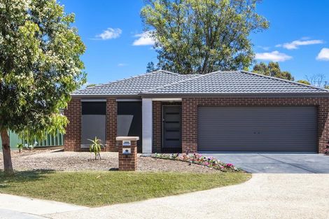 Property photo of 8 Deharl Court Ascot VIC 3551