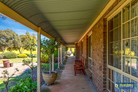Property photo of 875 Sturt Highway Shea-Oak Log SA 5371
