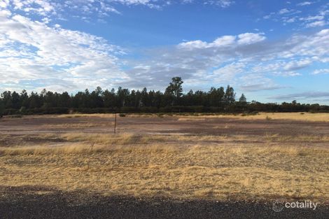 16 Sweetapple Dr, Miles, QLD 4415