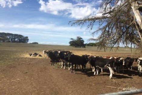 598 Londrigans Lane, The Sisters, VIC 3265