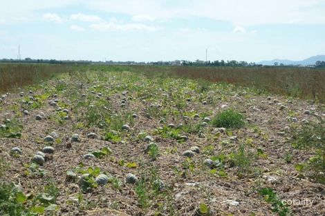 305 Perks Rd, Gumlu, QLD 4805