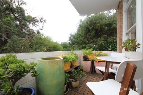 Property photo of 8/30-32 Macpherson Street Bronte NSW 2024