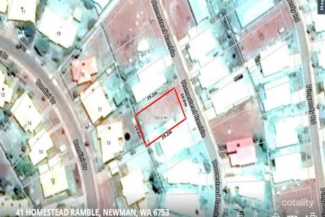 41 Homestead Rmbl, Newman, WA 6753
