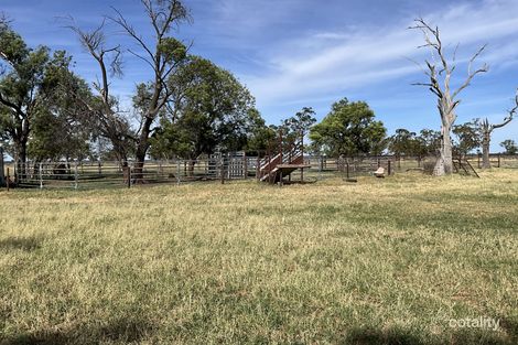 50 Warrena Rd, Coonamble, NSW 2829