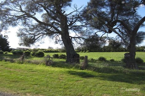 16 Noyes St, Swansea, TAS 7190