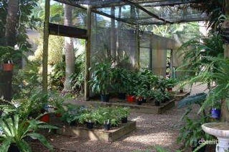 Property photo of 874 Eumundi Noosa Road Doonan QLD 4562