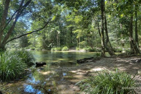 Property photo of 91 Finlayvale Road Mossman QLD 4873