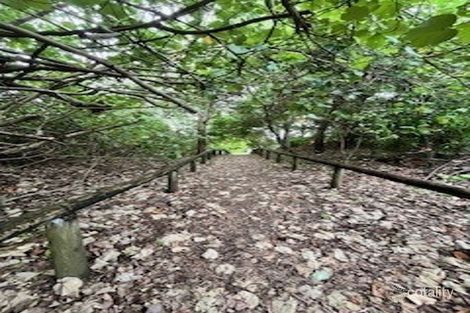 Property photo of 19 Coral Drive Blacks Beach QLD 4740