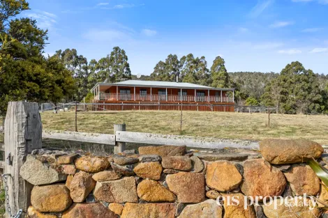 Property photo of 150 Judds Creek Road Judbury TAS 7109