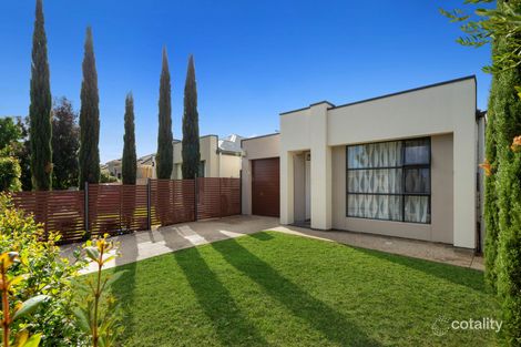 Property photo of 25 Netherby Avenue Plympton SA 5038