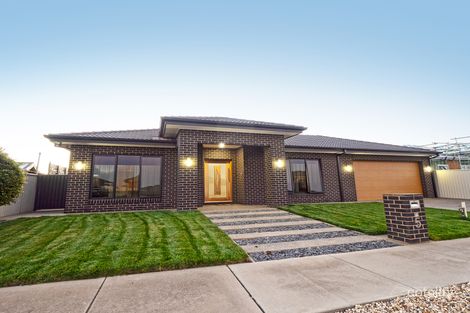Property photo of 5 Hermitage Street Shepparton VIC 3630