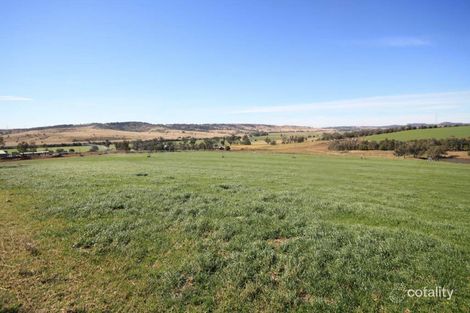 2767 Jerrys Plains Rd, Jerrys Plains, NSW 2330