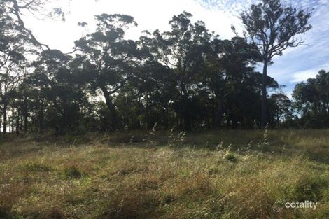 Property photo of 11 Quenda Drive Northcliffe WA 6262