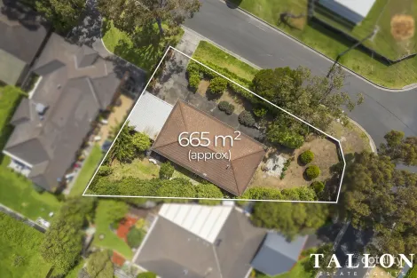 Property photo of 52 Clyde Road Safety Beach VIC 3936