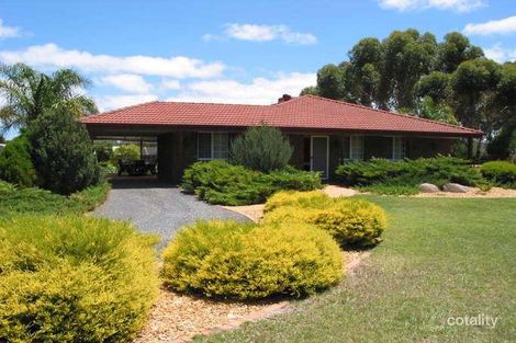 3 Harniman Rd, Lewiston, SA 5501