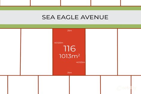 Property photo of 11 Sea Eagle Avenue Moore Creek NSW 2340