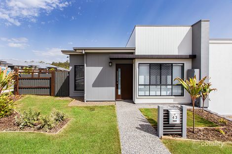 43 Watheroo St, South Ripley, QLD 4306