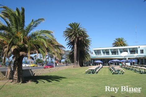 Property photo of 29 Georgina Avenue St Leonards VIC 3223