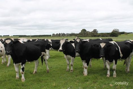 15 Kerrs Rd, Ondit, VIC 3249