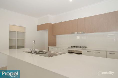Property photo of 14 Bourke Crescent Nudgee QLD 4014