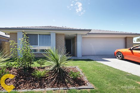 40 Feather Ct, Morayfield, QLD 4506