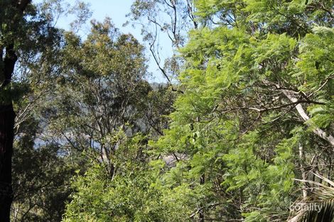 Property photo of 13 Net Road Avalon Beach NSW 2107