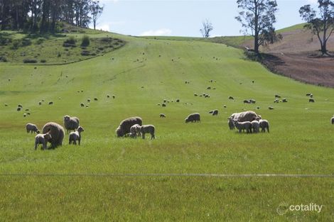 Property photo of 576 Bengeo Road Red Hills TAS 7304