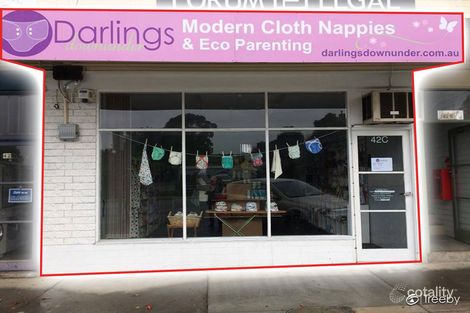 42c Wantirna Rd, Ringwood, VIC 3134