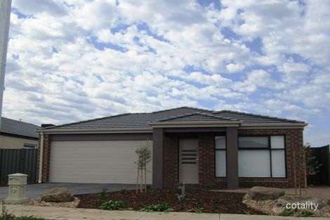 38 Springleaf Rd, Tarneit, VIC 3029